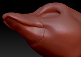Gender Neutral Duck Head Base Variant 1
