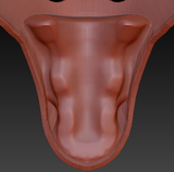 Small Angel Dragon Palate