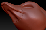 Gender Neutral Duck Head Base