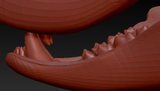 Medium Bear Realistic Style Jawset