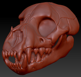 Hyena Skull