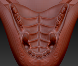Medium Bear Realistic Style Jawset