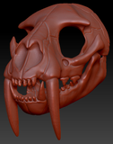 Large Saber Feline Skull
