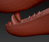 Large Omnivore Realistic Style Jawset