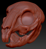 Bunny/Rodent Skull