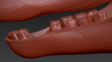 Medium Herbivore Realistic Style Jawset