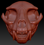 Small Feline Skull