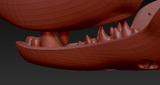 Medium Skunk Realistic Style Jawset