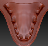 Small Alligator Realistic Style Jawset