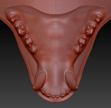Medium Bear Realistic Style Jawset