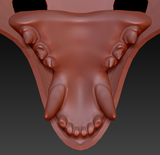 Small Skunk Realistic Style Jawset
