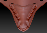 Medium Carnivore Realistic Style Jawset