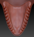 Large Orca Jawset