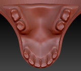 Small Herbivore Realistic Style Jawset