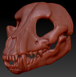 Small Canine Skull