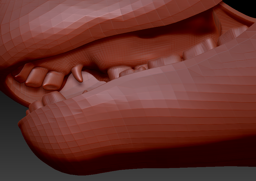 Medium Horse Jawset Realistic Style 2