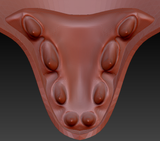 Small Wyvern Jawset