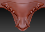 Small Bear Realistic Style Jawset