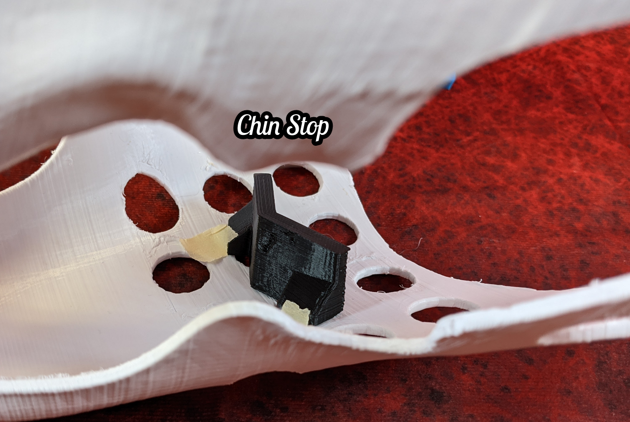 Gender Neutral Persian Cat Head Base