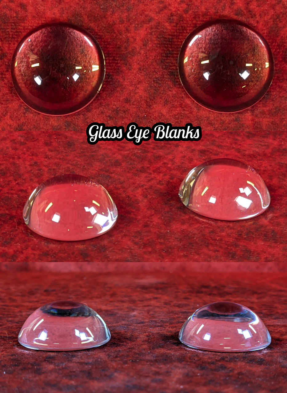 Realistic Coatimundi Static Jaw Head Base