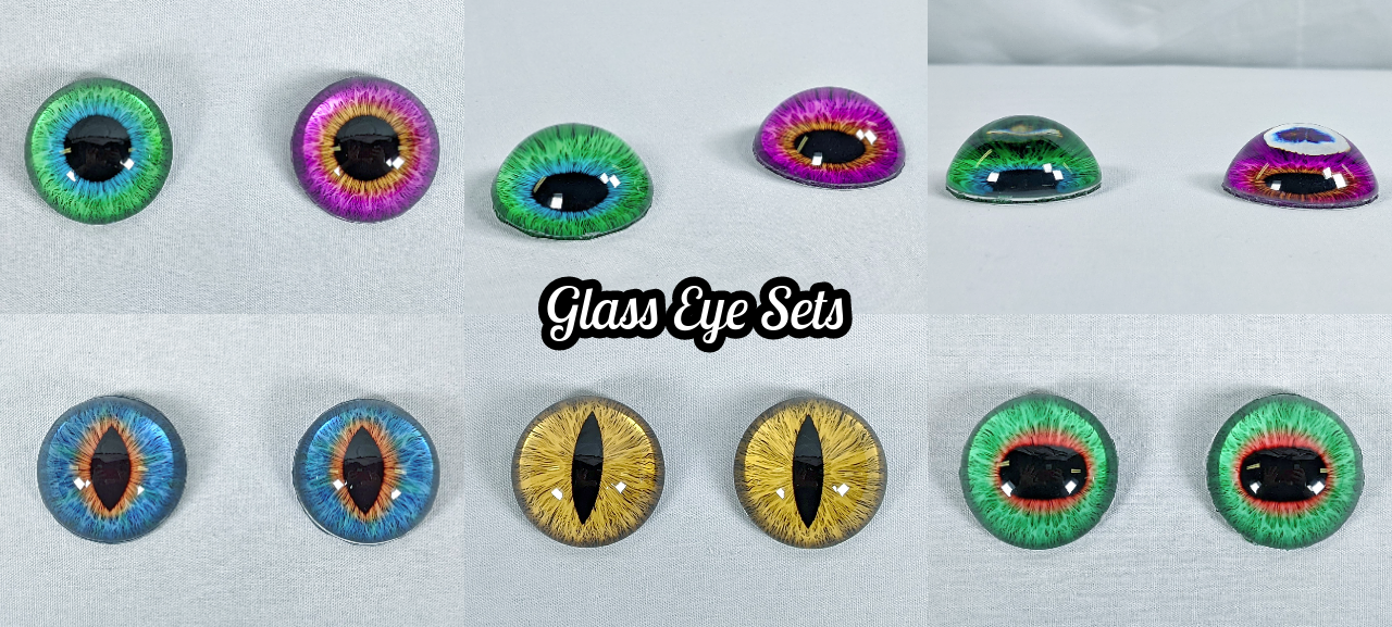 Realistic Coatimundi Static Jaw Head Base