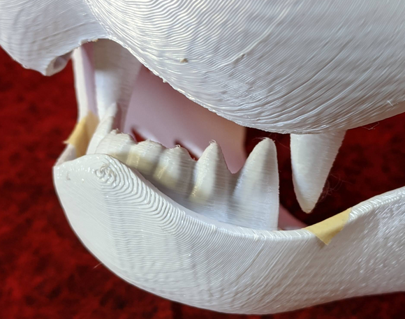 Mini Carnivore Jawset