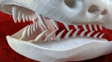 Large Snake Jawset