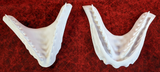 Large Snake Jawset