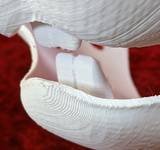 Mini Bunny Jawset
