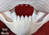 Medium Angel Dragon Jawset