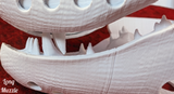 Medium Angel Dragon Jawset