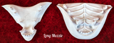 Medium Angel Dragon Jawset