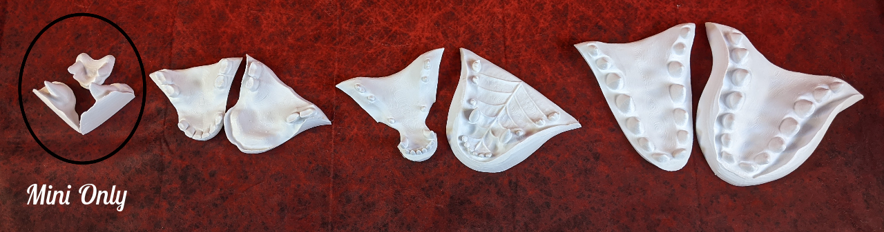 Western Kemono Leaf-nosed Bat Head Base