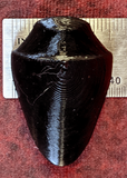 Hoof Dewclaw