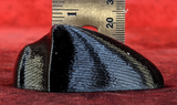 Hoof Dewclaw