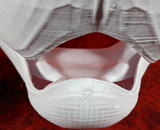 Medium Angel Dragon Palate