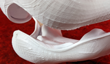 Medium Angel Dragon Palate