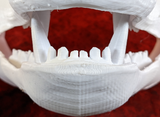 Large Bear Realistic Style Jawset