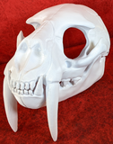 Large Saber Feline Skull