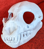 Hyena Skull