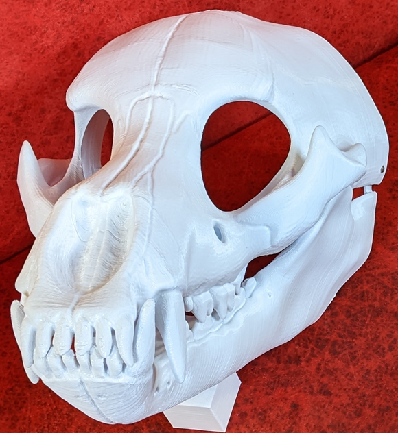 Fursuit head base/ ooak skully base - Sculptures