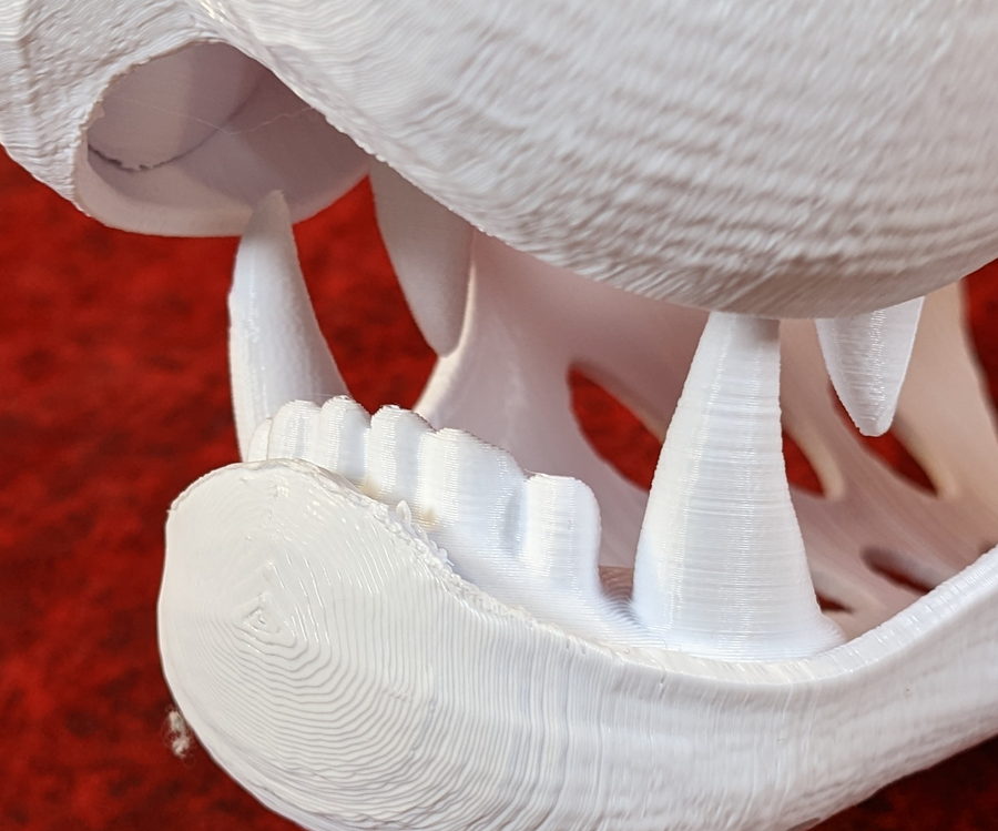 Mini Omnivore Jawset