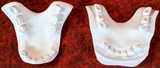 Medium Horse Jawset Realistic Style 1