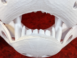 Small Carnivore Realistic Style Jawset