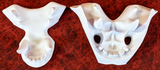 Small Carnivore Realistic Style Jawset