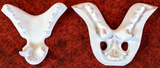 Large Carnivore Realistic Style Jawset