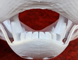 Medium Skunk Realistic Style Jawset