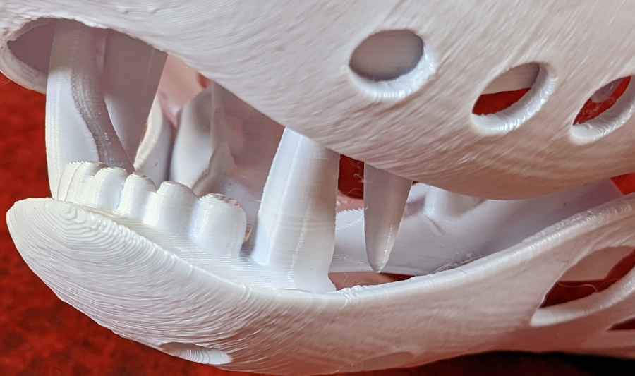 Medium Skunk Realistic Style Jawset