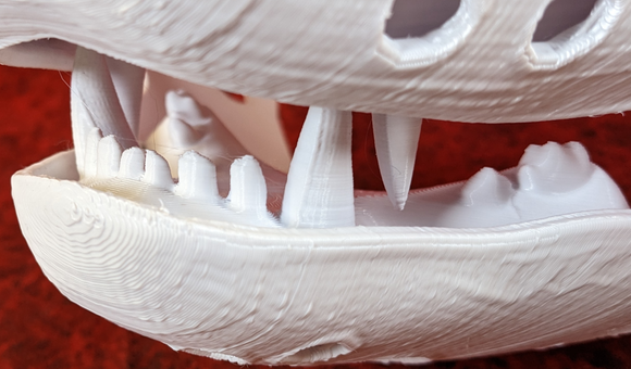 Small Bear Realistic Style Jawset