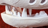 Small Bear Realistic Style Jawset